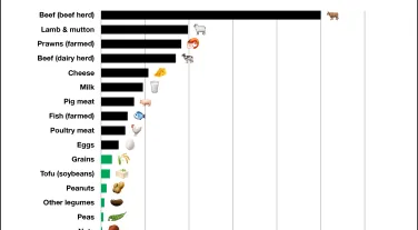 Greenhouse Gas Emissions