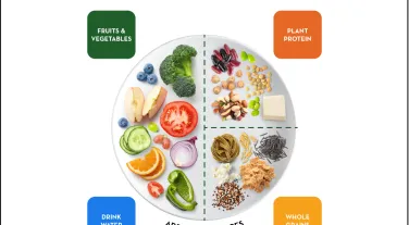 plant-based meal guide plate method