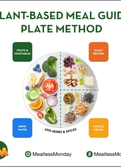 plant-based meal guide plate method