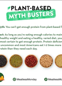 Plant-based Myth Busters